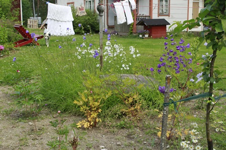 Kurjenkelloja, myskimalvaa ja maariankelloja