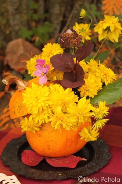 Aseta maljakko tai lasipurkki kurpitsankuoren sisälle, niin saat syksyisen asetelman juhlapöytään.