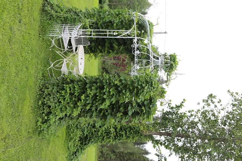 Esteettinen paviljonki on hankittu nettiostoksena.