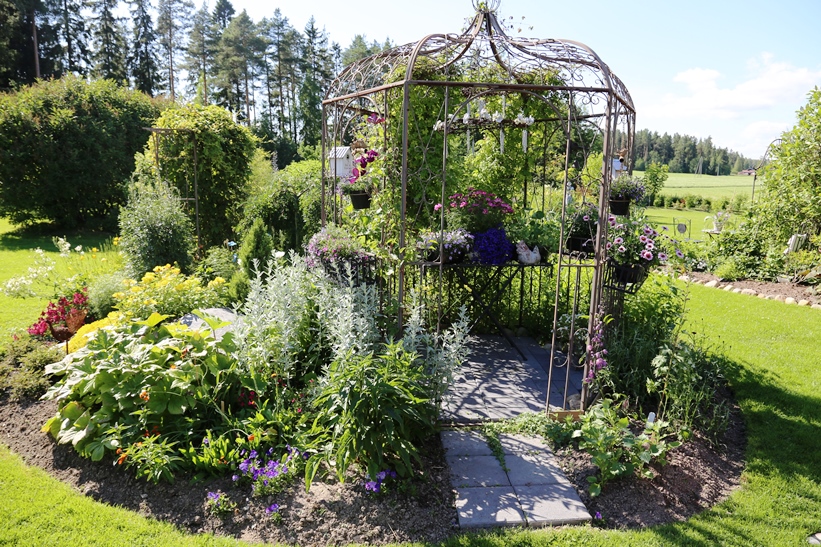 Huvimajan kukinnasta vastaavat kärhöt ja monet kesäkukat ruukuissa. Ympärillä on runsas istutus perennoja. Sisäänkäynnin vasemmalla puolella on syyskesällä kukkiva päivänsilmä (Heliopsis helianthoides), jonka takana hohtaa harmaalehtinen hopeamaruna (Artemisia ludoviciana). Pienet oranssit kukat kuuluvat oranssikeltanolle (Pilosella aurantiacaTaaempana on mm. kultahelokki (Oenothera fruticosa) ja ukonhattuja (Aconitum). 