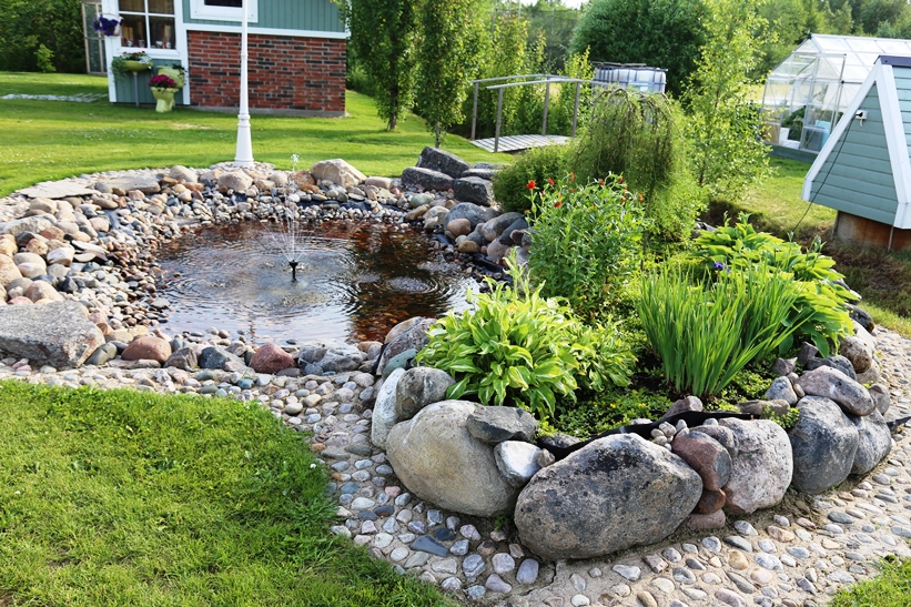 Kiveä on käytetty runsaasti suihkualtaan rakentamisessa. Altaan reunalla viihtyvät kuunliljat, kaunokurjenmiekka ja palavarakkaus. Pikkupuu taustalla on riippahernepensas.