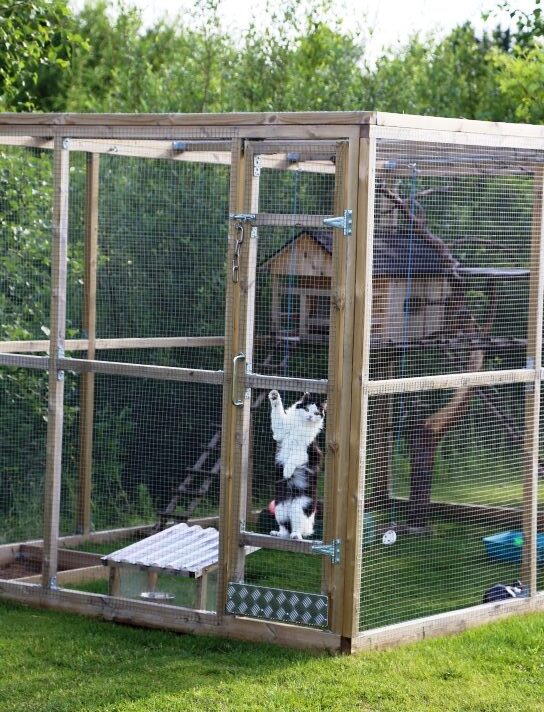 Perheen kissalle on rakennettu oma puuhamaa. Hänen tehtävänään on karkottaa myyrät tontilta.