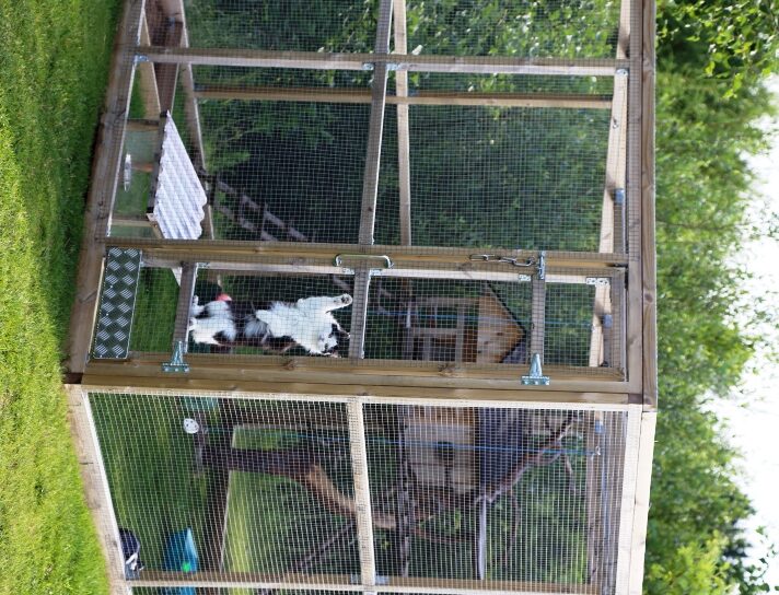 Perheen kissalle on rakennettu oma puuhamaa. Hänen tehtävänään on karkottaa myyrät tontilta.