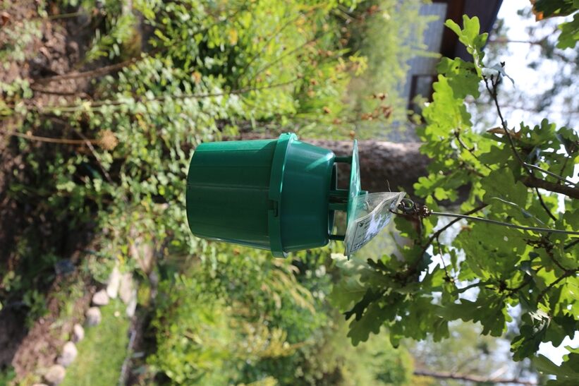 Jari Kaitila on asentanut vanhempiensa puutarhaan feromonipyydyksiä, joilla havainnoidaan perhosten levinneisyyttä.