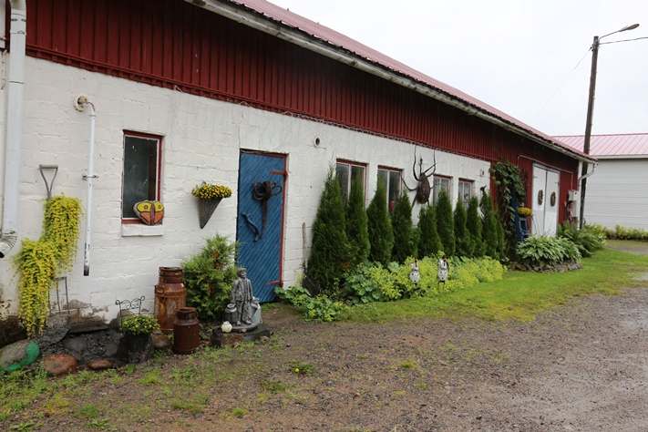 Navetan seinustalle Vuokko on tuonu monia risutöitään. Seinää vehreyttää rivistö pylvästuijia (Thuja occinetalis 'Brabant'), joiden edessä kasvaa jättipoimulehtiä (Alchemilla mollis). Kuunlilja (Hosta) ja kotkansiivet (Matteuccia struthiopteris) rehottavat sateisena ja viileänä kesänä. Amppelista riippuu keltalehtisen suikeroalpin (Lysimachina nummulari 'Aurea') pitkiä varsia. 