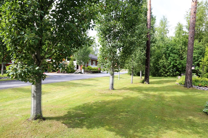 Pihapiiri on jätetty avoimeksi kadulle päin. Pylväshaapojen rungot on suojattu verkoilla jänisten vuoksi.