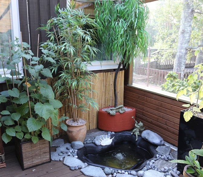 Terassin nurkassa Aila kasvattaa arimpia kasveja, kuten bambuja.  