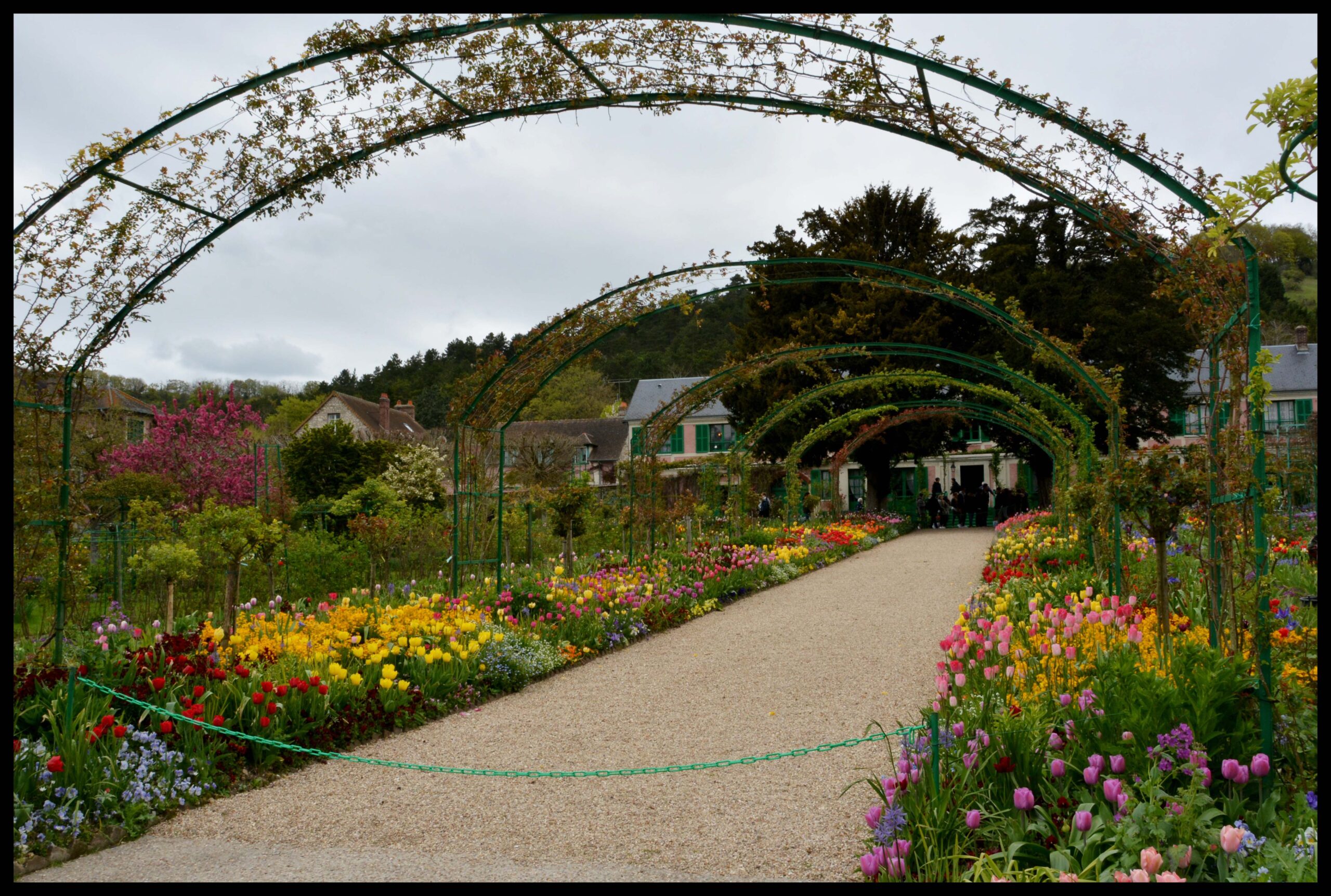 monet13