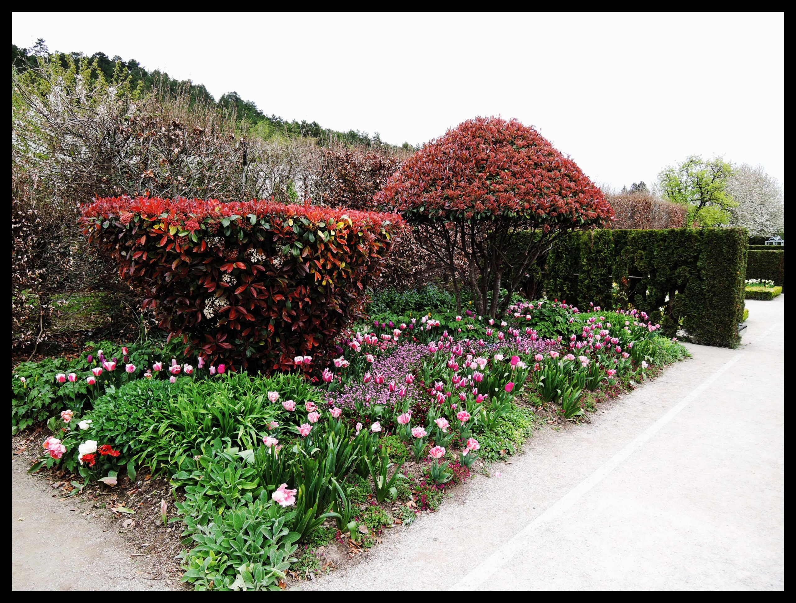 monet16