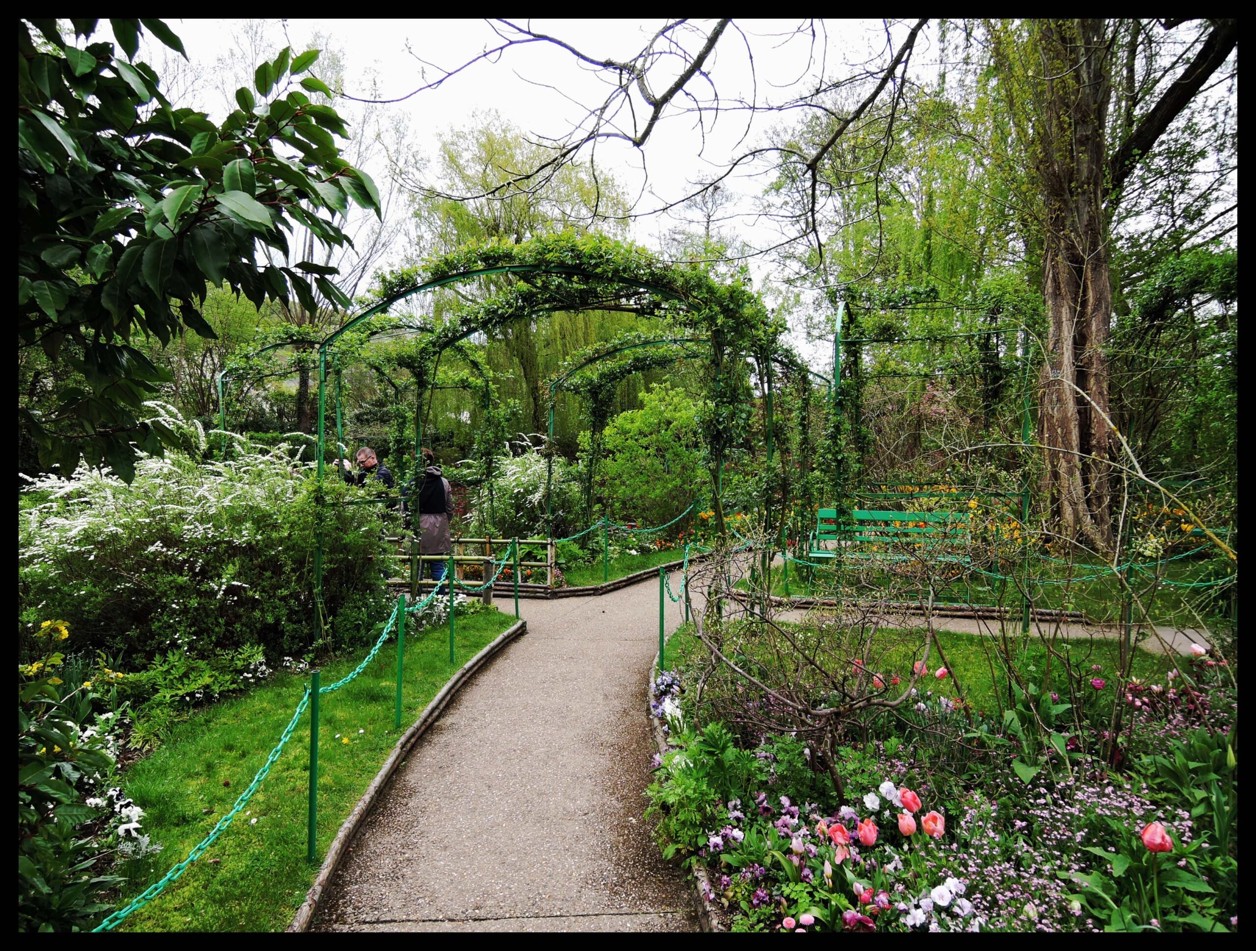 monet17