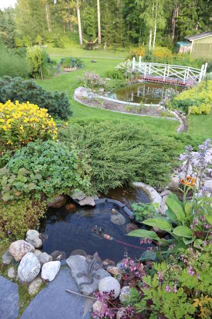 Ylälampea reunustavat monet perennat sekä mattomaisesti kasvava kataja (Juniperus).