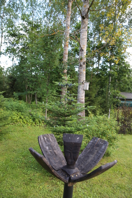 Taiston puutaidetta on useassa kohdassa pihalla. Taustalla liilansinisiä käpyjä tekevä koreanpihta (Abies koreana).