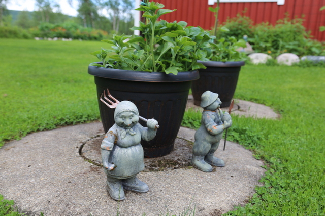 Isäntä- ja emäntäpatsaat todistavat petunioitten ja kesämalvikkien (Lavatera trimestris) kehityksen kiihkeänä kasvuaikana.  