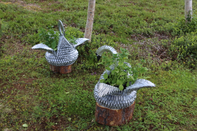 Sirpan askartelemissa joutsenruukuissa kasvaa petunioita. 